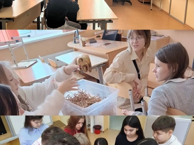 «Мир IT-технологий»